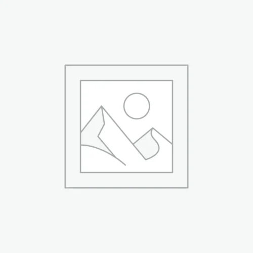 Concentration & Attention